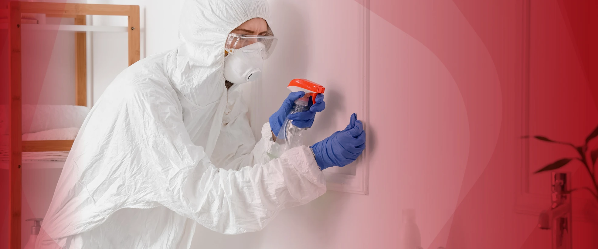 Ph Frameworks Damp And Mould Blog Banner 250711 V0 (1)